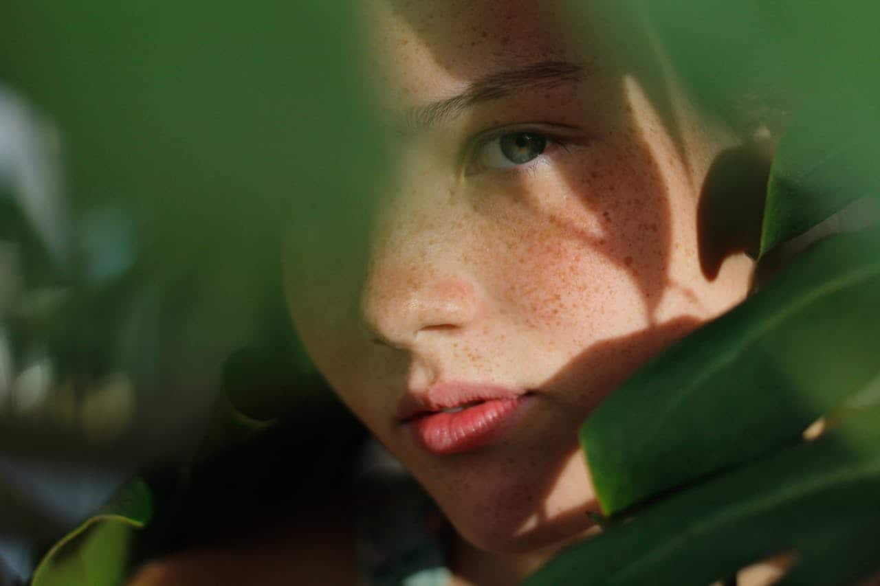 pexels-photo-1786856-1786856.jpg